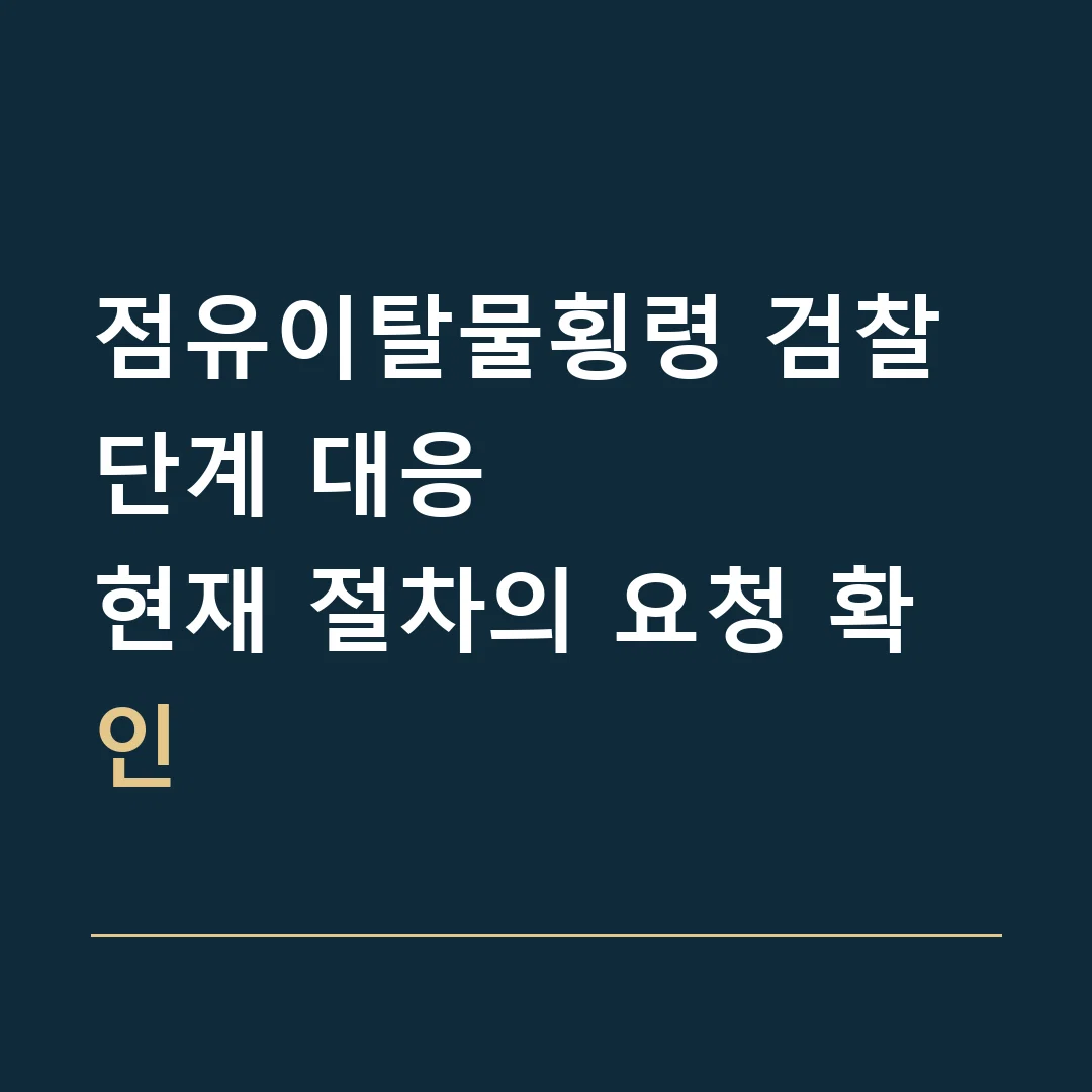 점유이탈물횡령 검찰 단계 대응 · 현재 절차의 요청 확인