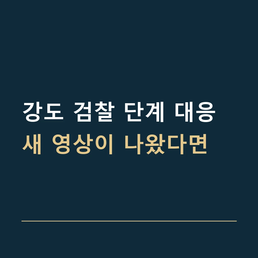 강도 검찰 단계 대응 · 새 영상이 나왔다면
