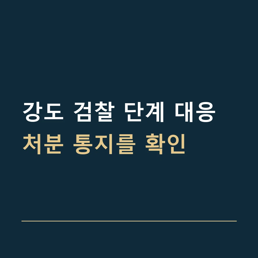 강도 검찰 단계 대응 · 처분 통지를 확인