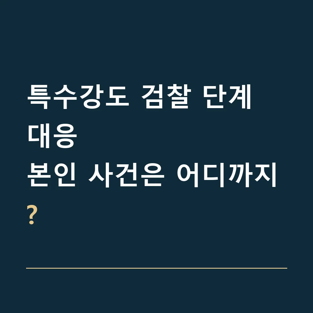 특수강도 검찰 단계 대응 · 본인 사건은 어디까지?