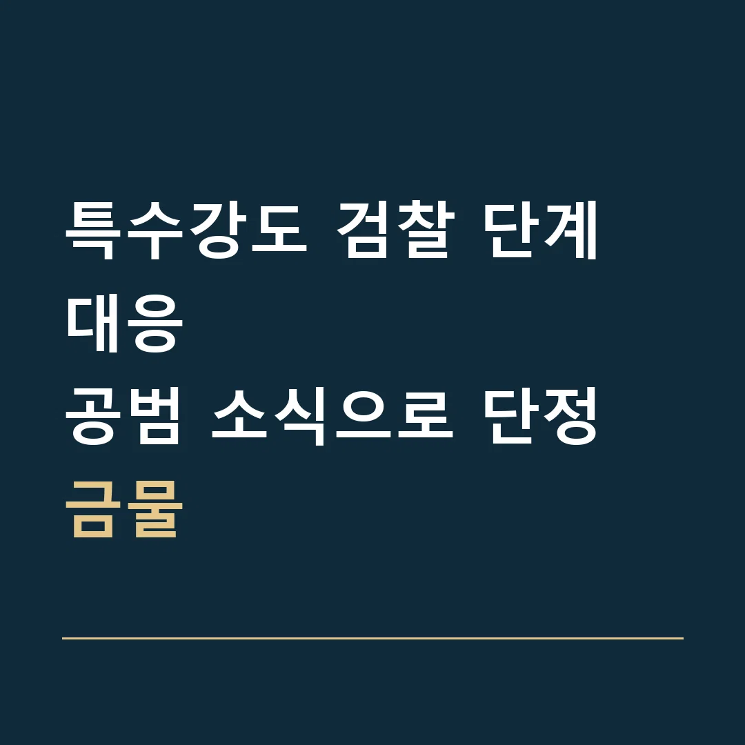 특수강도 검찰 단계 대응 · 공범 소식으로 단정 금물