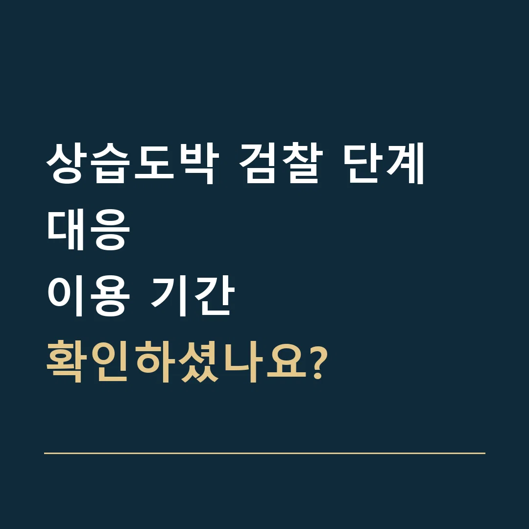 상습도박 검찰 단계 대응 · 이용 기간
확인하셨나요?
