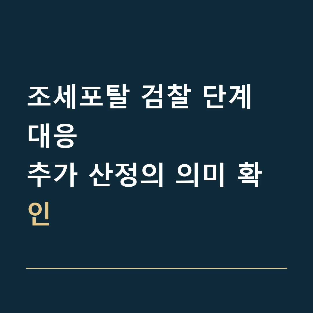 조세포탈 검찰 단계 대응 · 추가 산정의 의미 확인