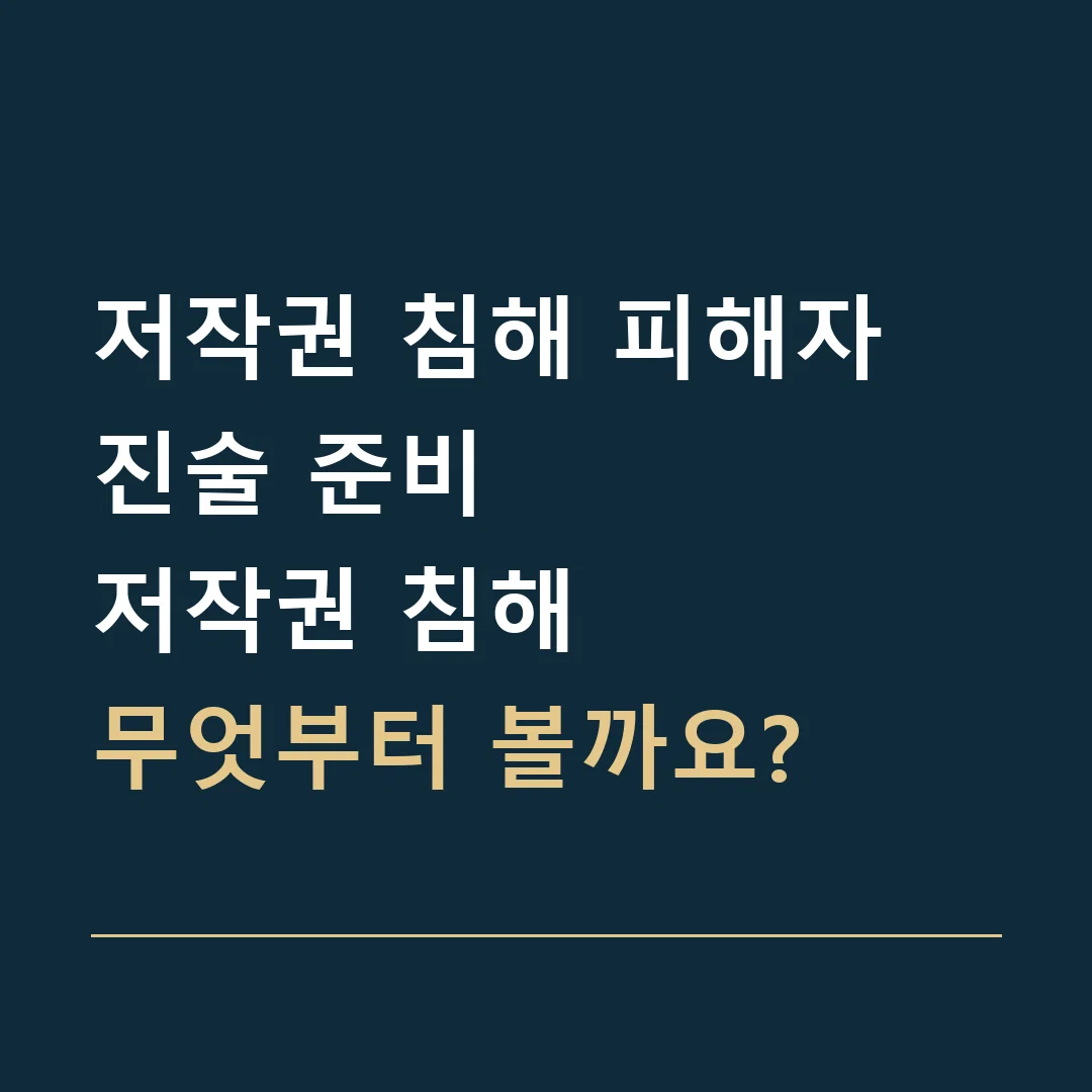 저작권 침해 피해자 진술 준비 · 저작권 침해
무엇부터 볼까요?