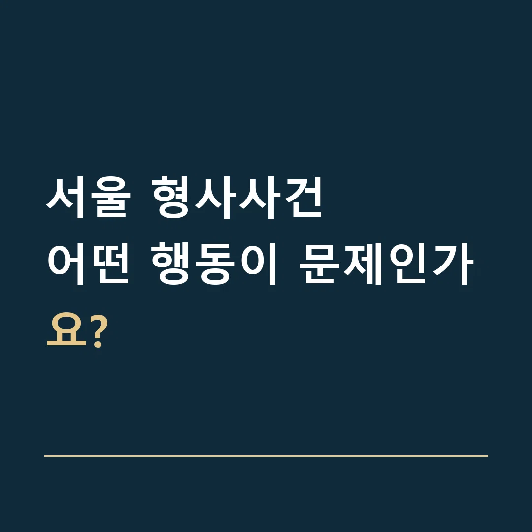 서울 형사사건 · 어떤 행동이 문제인가요?