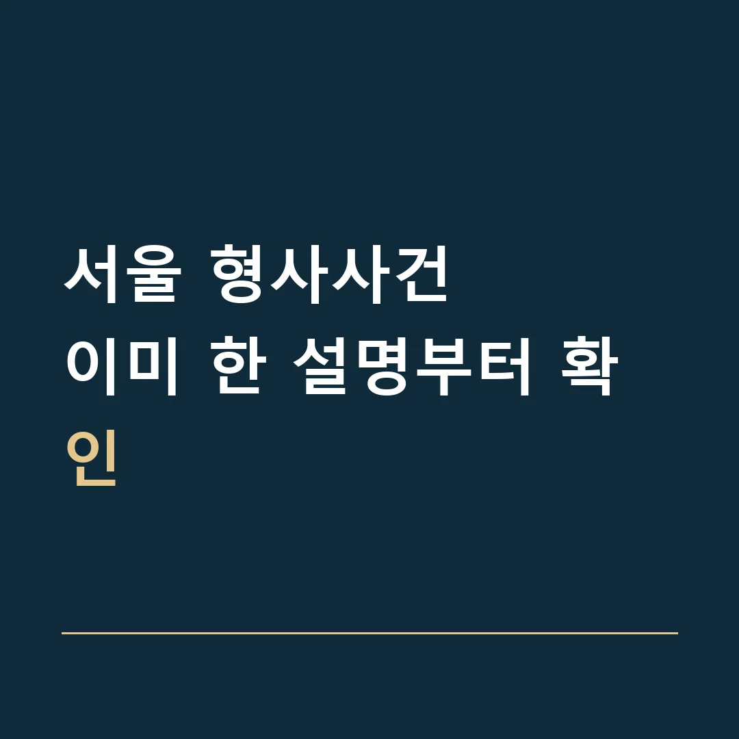서울 형사사건 · 이미 한 설명부터 확인