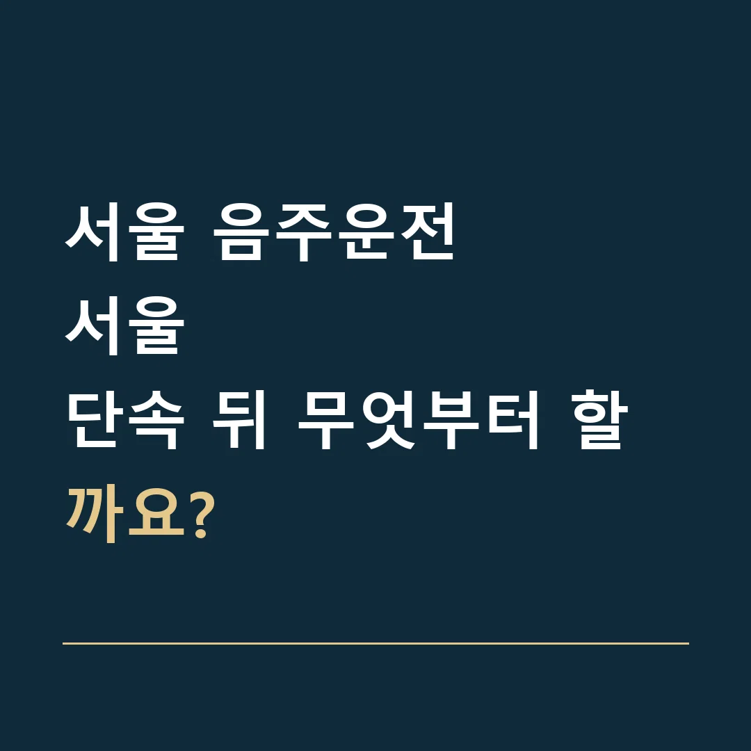 서울 음주운전 · 서울
단속 뒤 무엇부터 할까요?