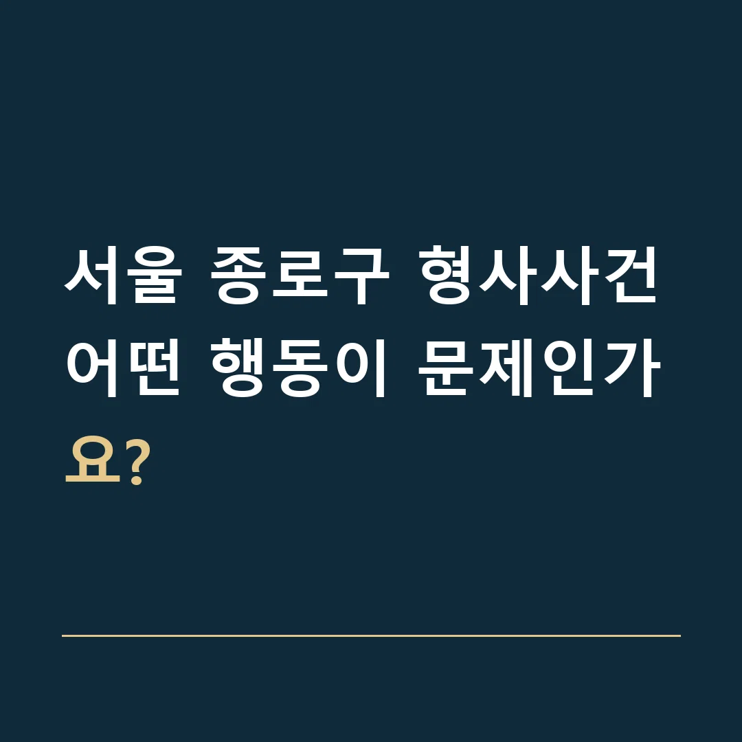 서울 종로구 형사사건 · 어떤 행동이 문제인가요?