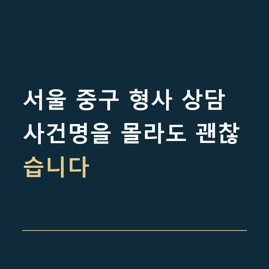 서울 중구 형사 상담 · 사건명을 몰라도 괜찮습니다