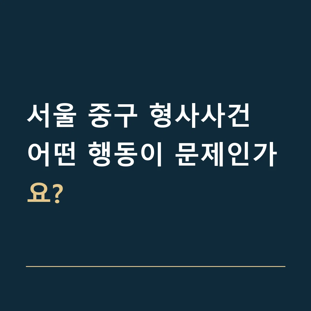 서울 중구 형사사건 · 어떤 행동이 문제인가요?