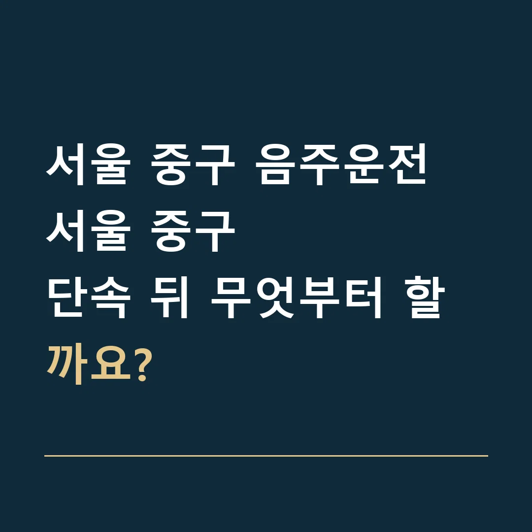 서울 중구 음주운전 · 서울 중구
단속 뒤 무엇부터 할까요?