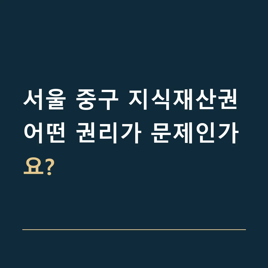 서울 중구 지식재산권 · 어떤 권리가 문제인가요?