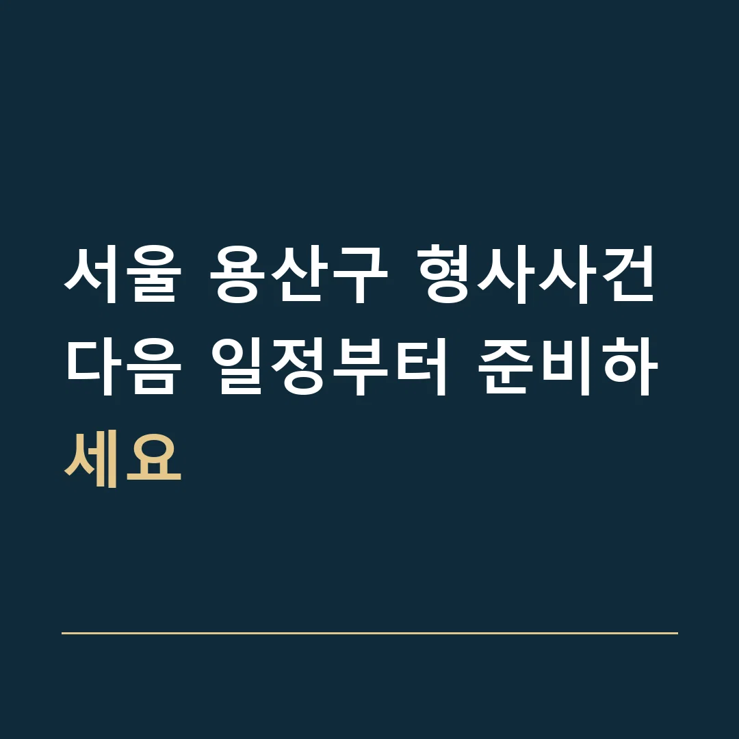 서울 용산구 형사사건 · 다음 일정부터 준비하세요