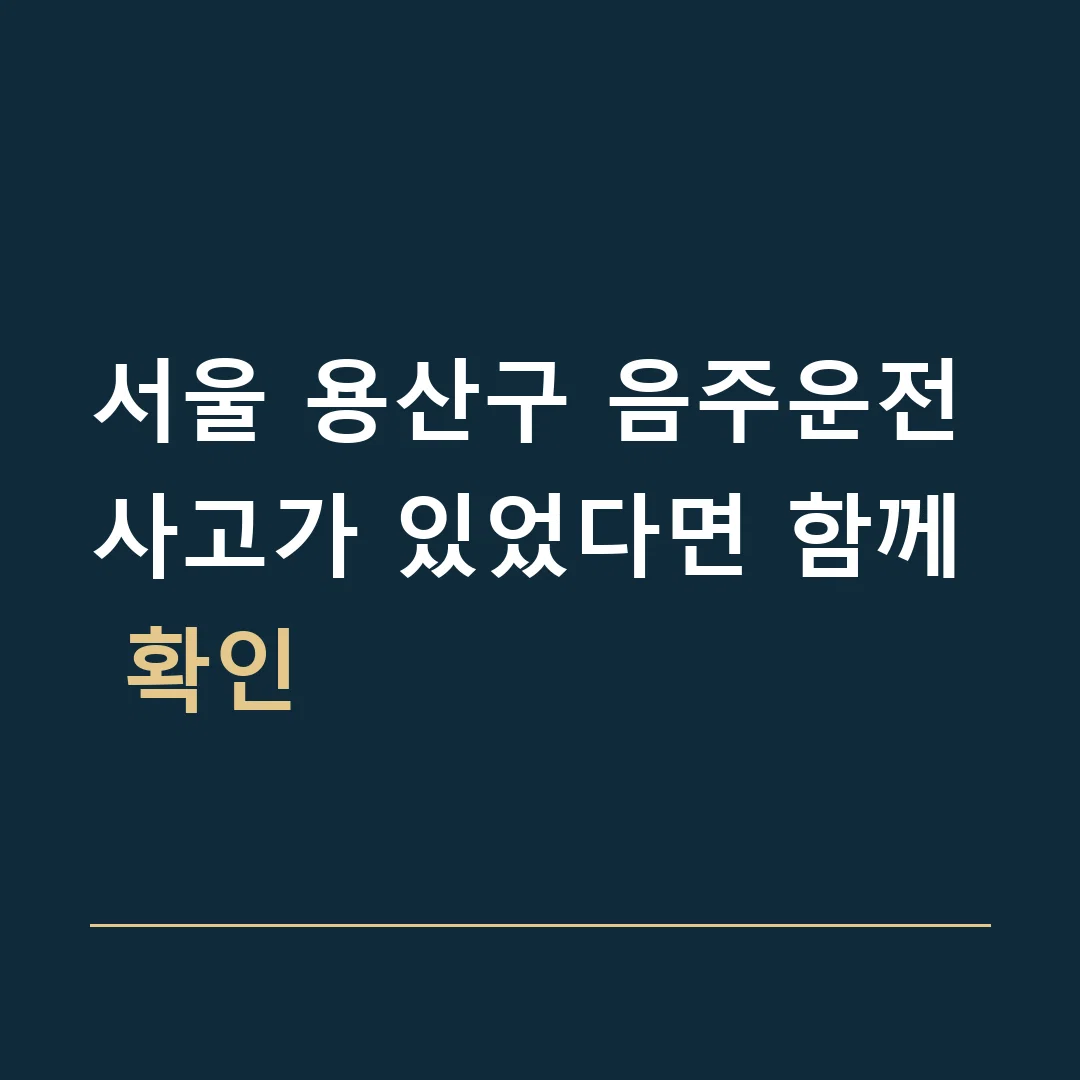 서울 용산구 음주운전 · 사고가 있었다면 함께 확인