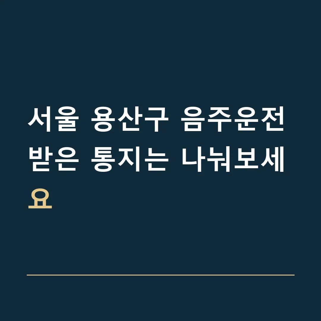 서울 용산구 음주운전 · 받은 통지는 나눠보세요