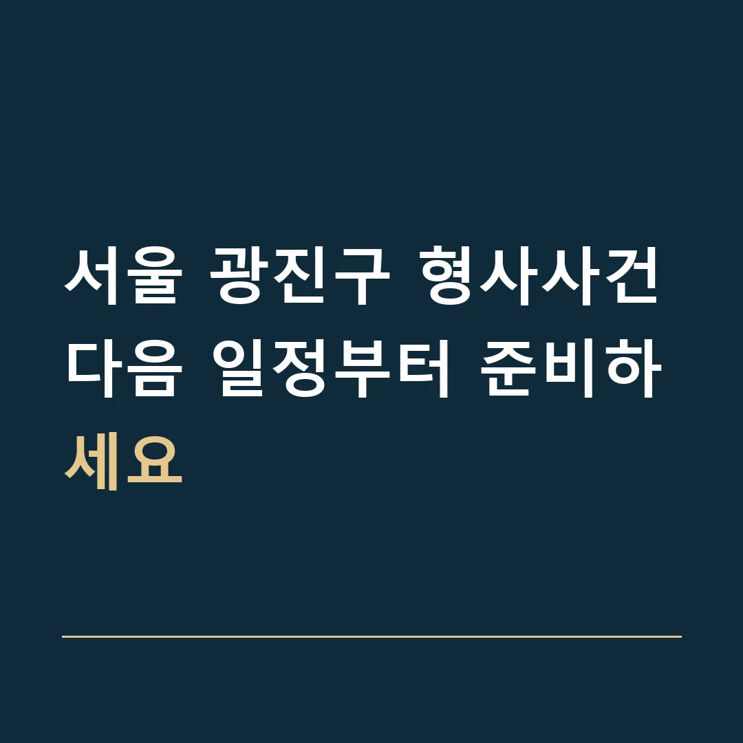 서울 광진구 형사사건 · 다음 일정부터 준비하세요