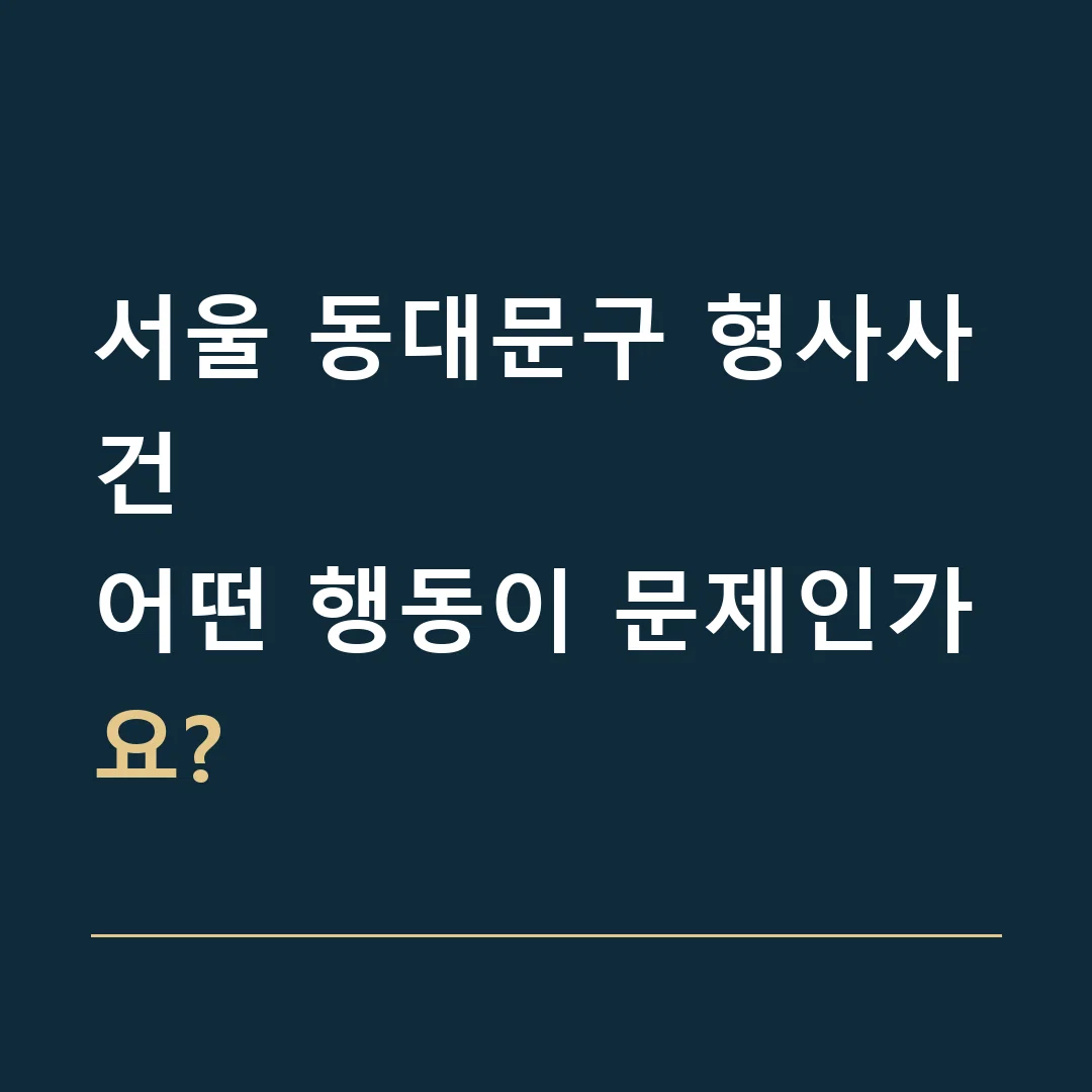 서울 동대문구 형사사건 · 어떤 행동이 문제인가요?