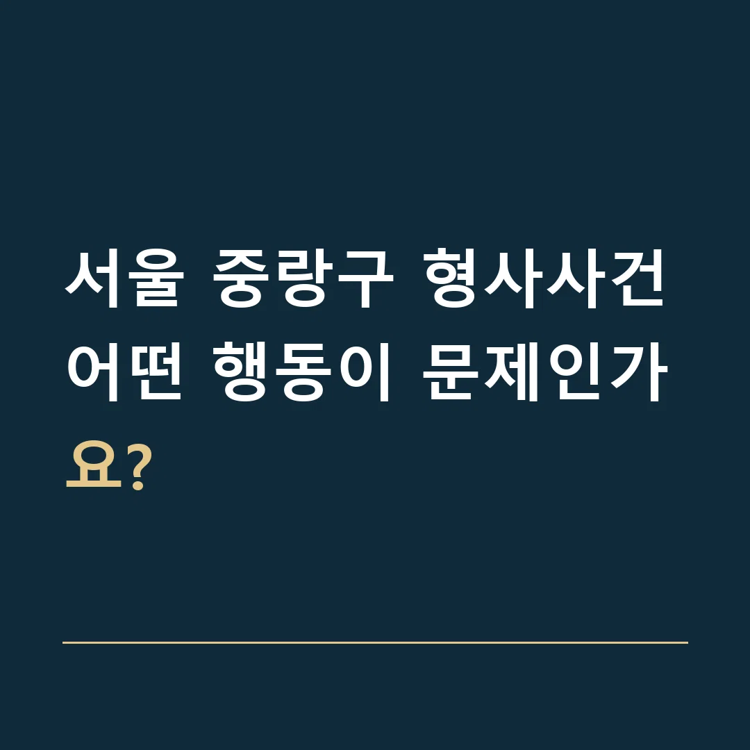 서울 중랑구 형사사건 · 어떤 행동이 문제인가요?