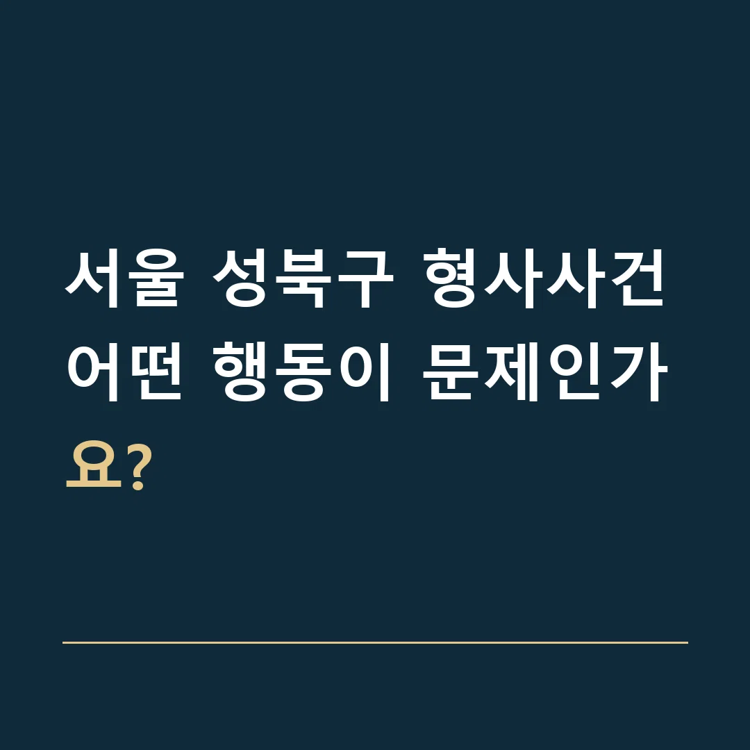 서울 성북구 형사사건 · 어떤 행동이 문제인가요?
