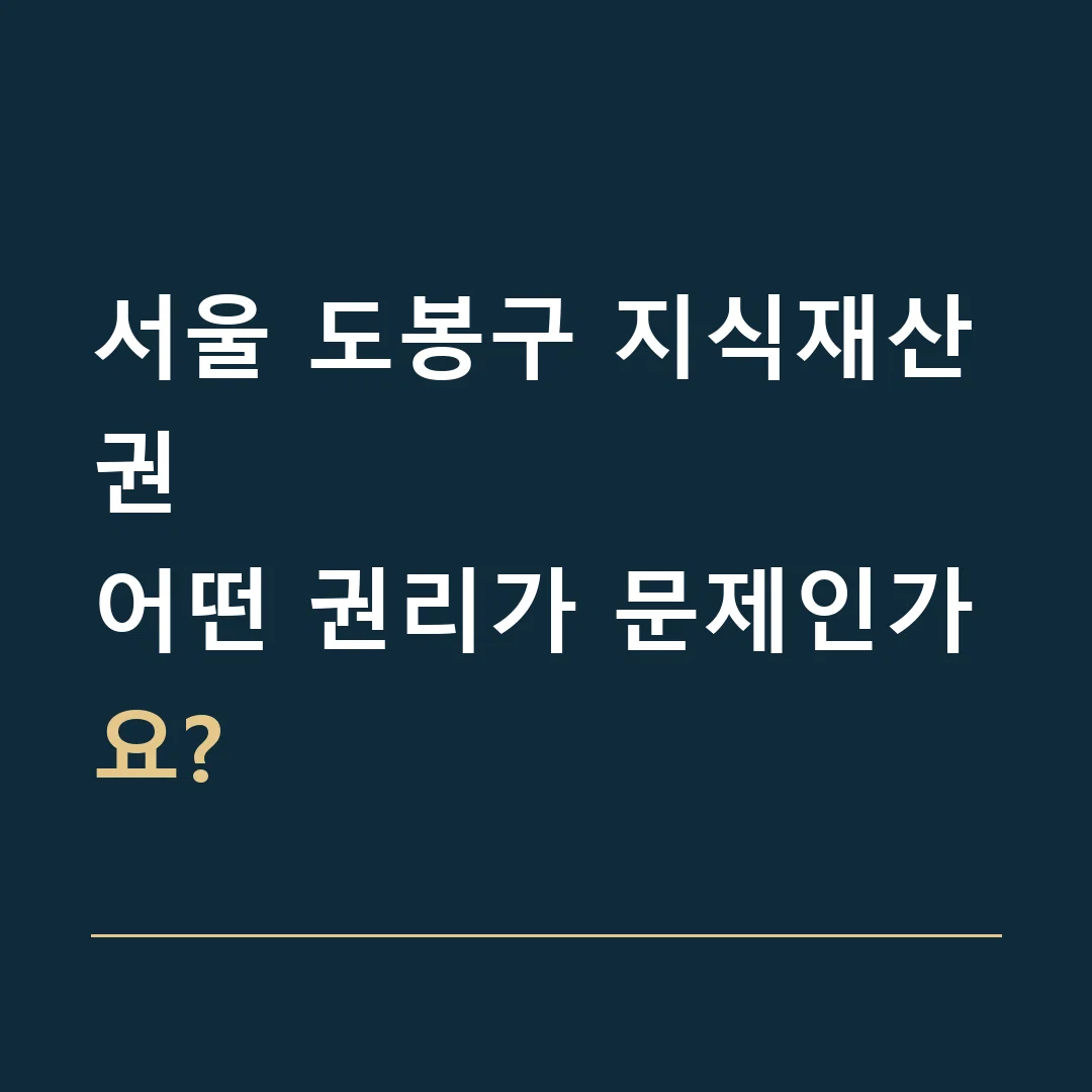 서울 도봉구 지식재산권 · 어떤 권리가 문제인가요?