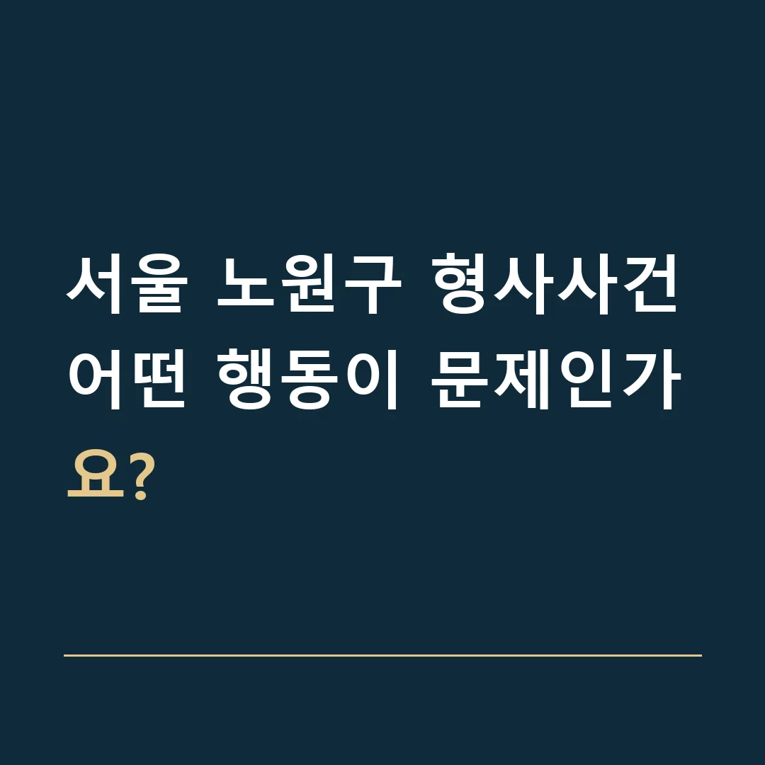 서울 노원구 형사사건 · 어떤 행동이 문제인가요?