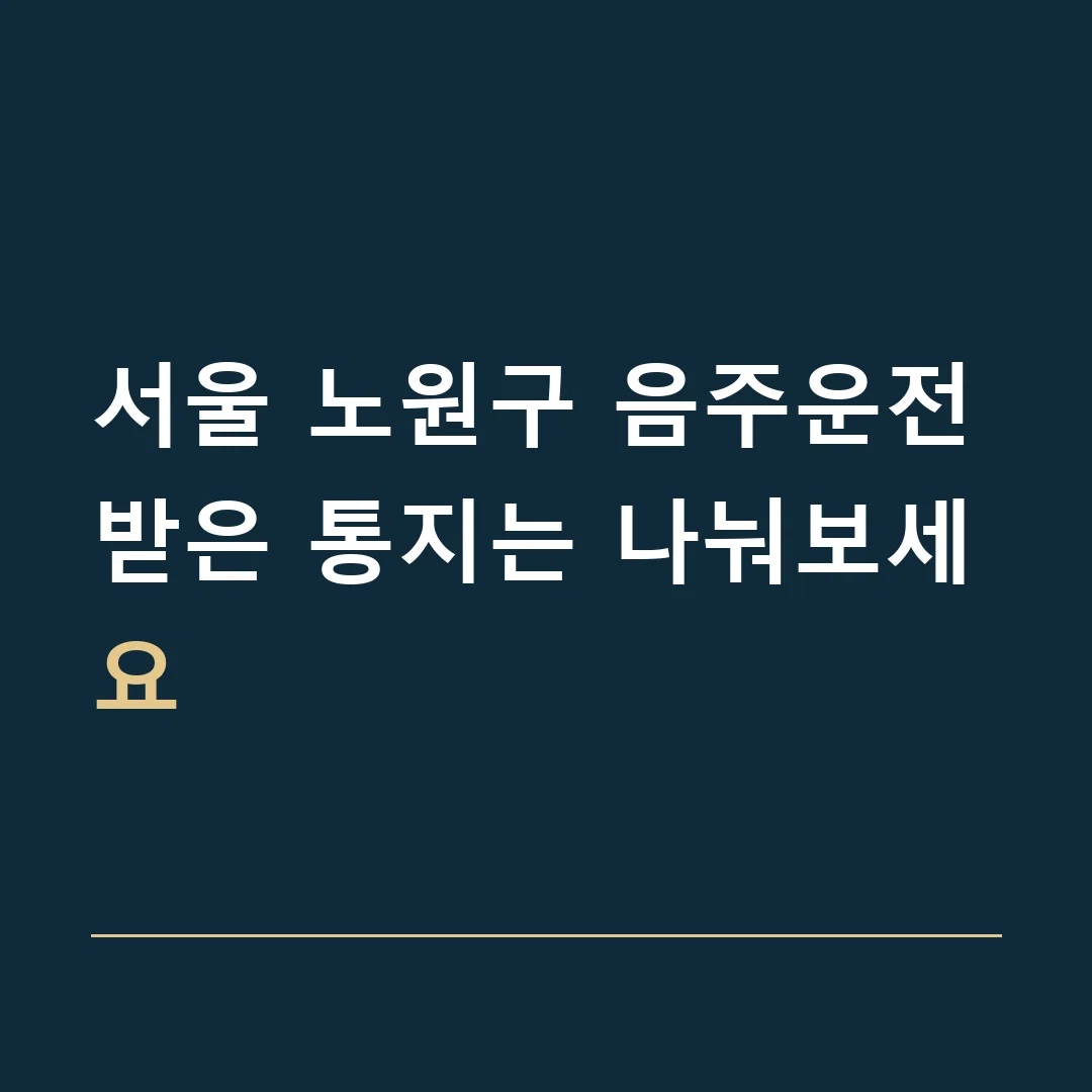 서울 노원구 음주운전 · 받은 통지는 나눠보세요