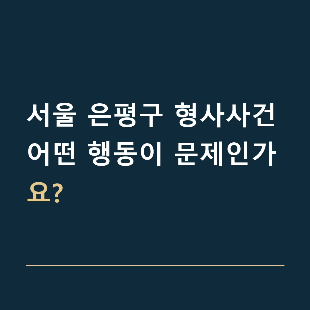 서울 은평구 형사사건 · 어떤 행동이 문제인가요?
