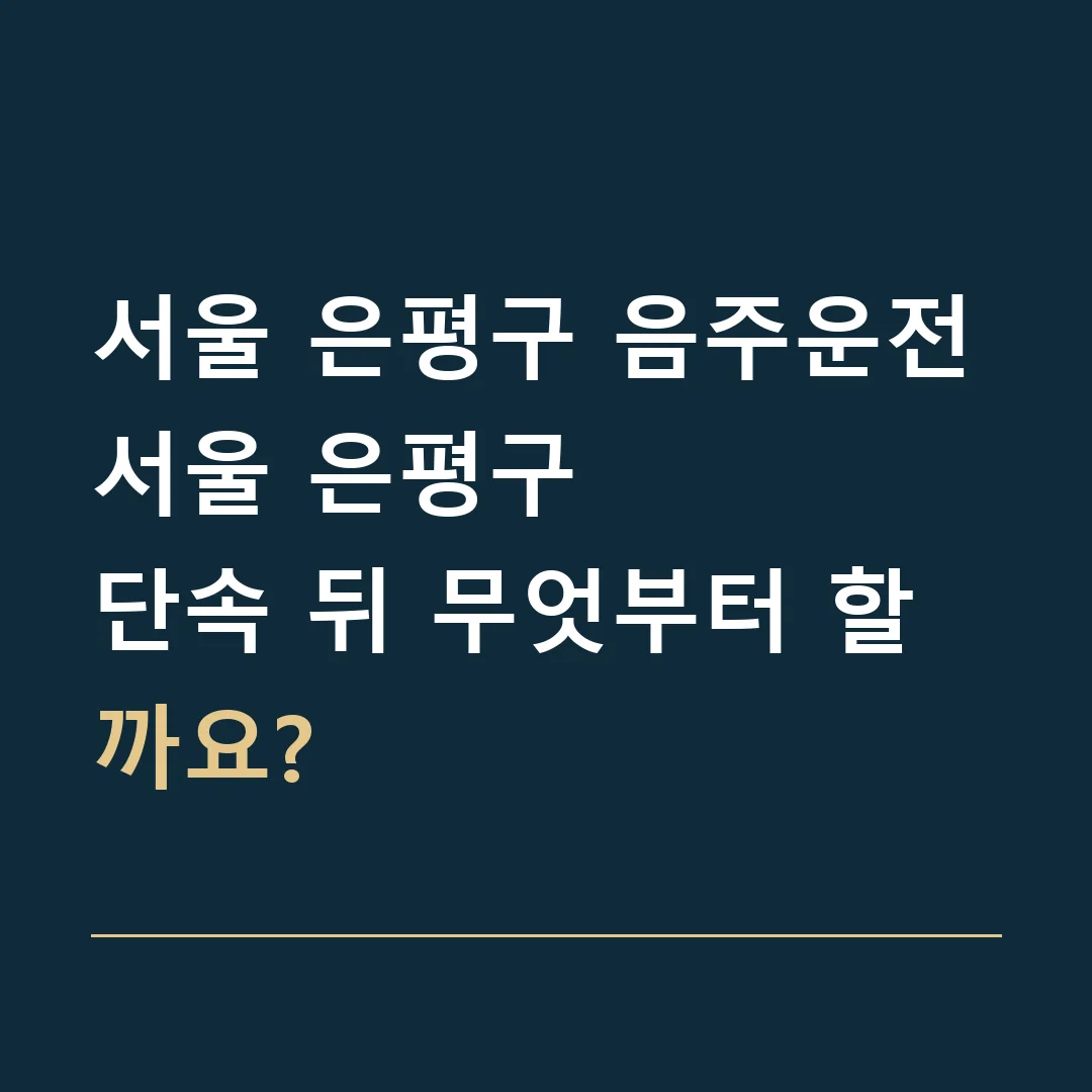 서울 은평구 음주운전 · 서울 은평구
단속 뒤 무엇부터 할까요?