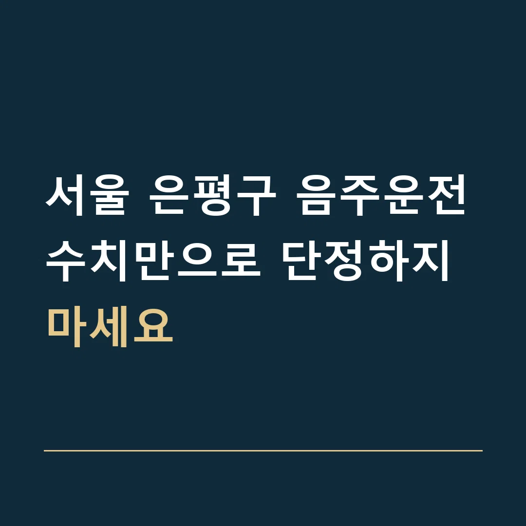 서울 은평구 음주운전 · 수치만으로 단정하지 마세요