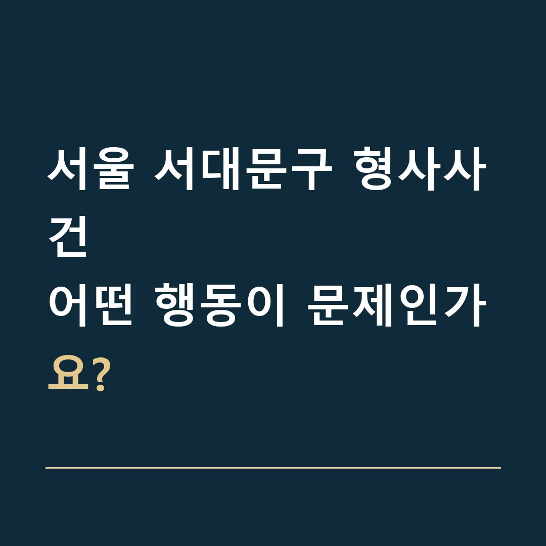 서울 서대문구 형사사건 · 어떤 행동이 문제인가요?