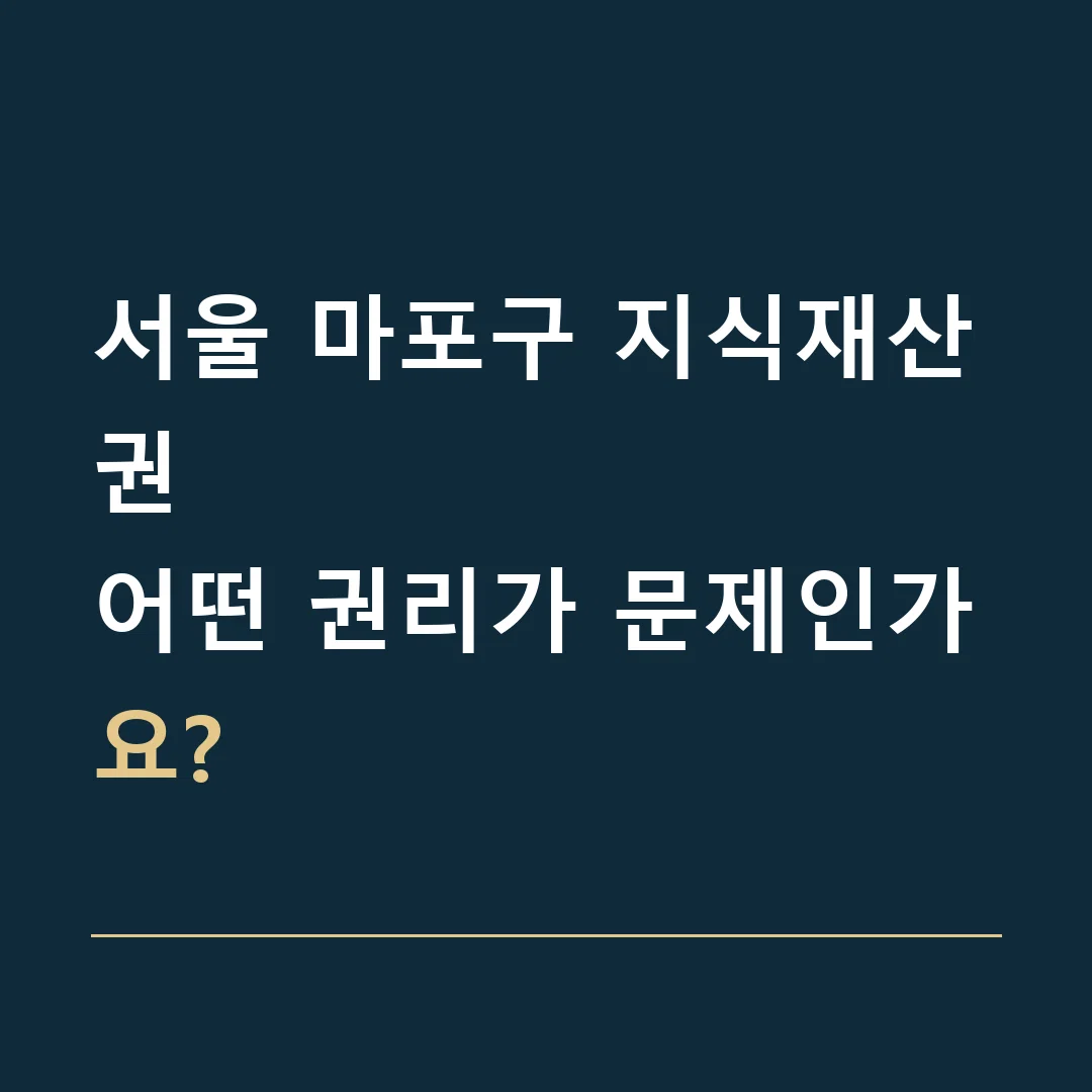 서울 마포구 지식재산권 · 어떤 권리가 문제인가요?
