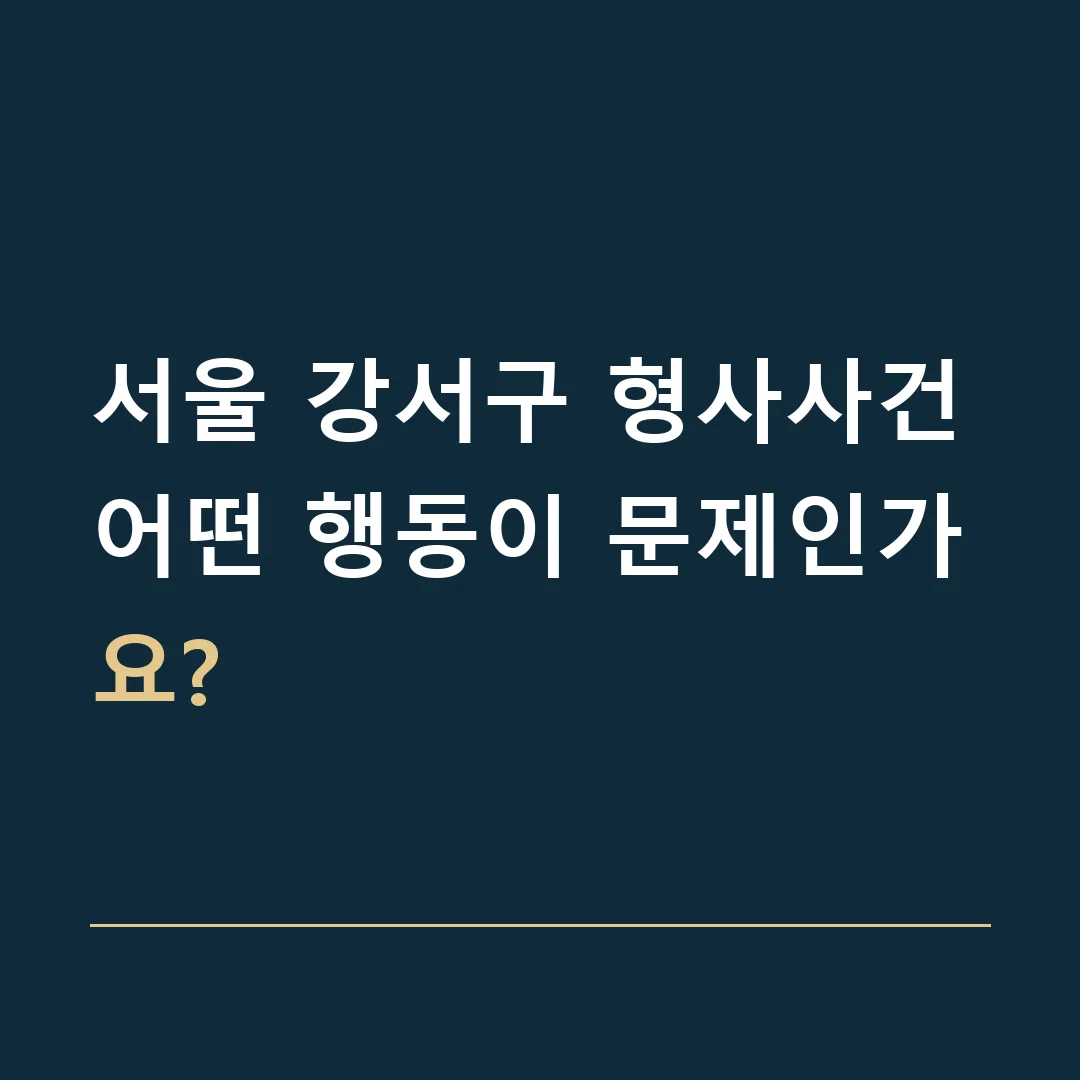 서울 강서구 형사사건 · 어떤 행동이 문제인가요?