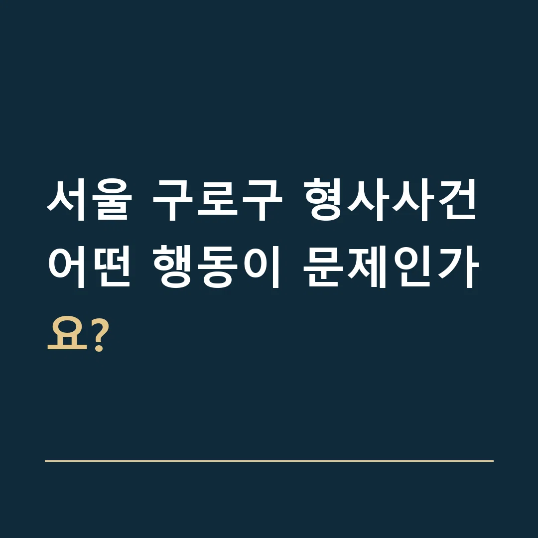 서울 구로구 형사사건 · 어떤 행동이 문제인가요?