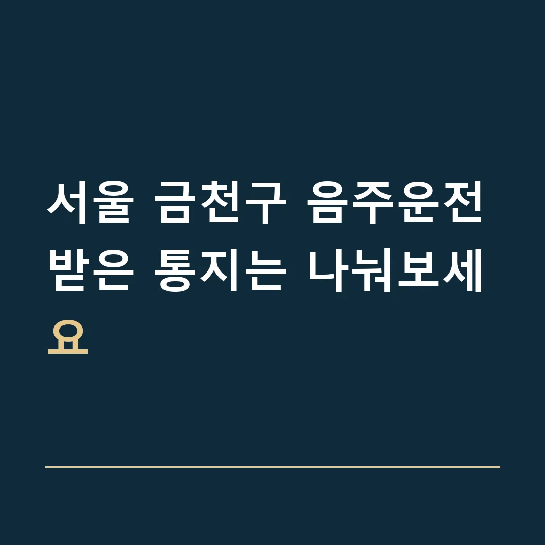 서울 금천구 음주운전 · 받은 통지는 나눠보세요