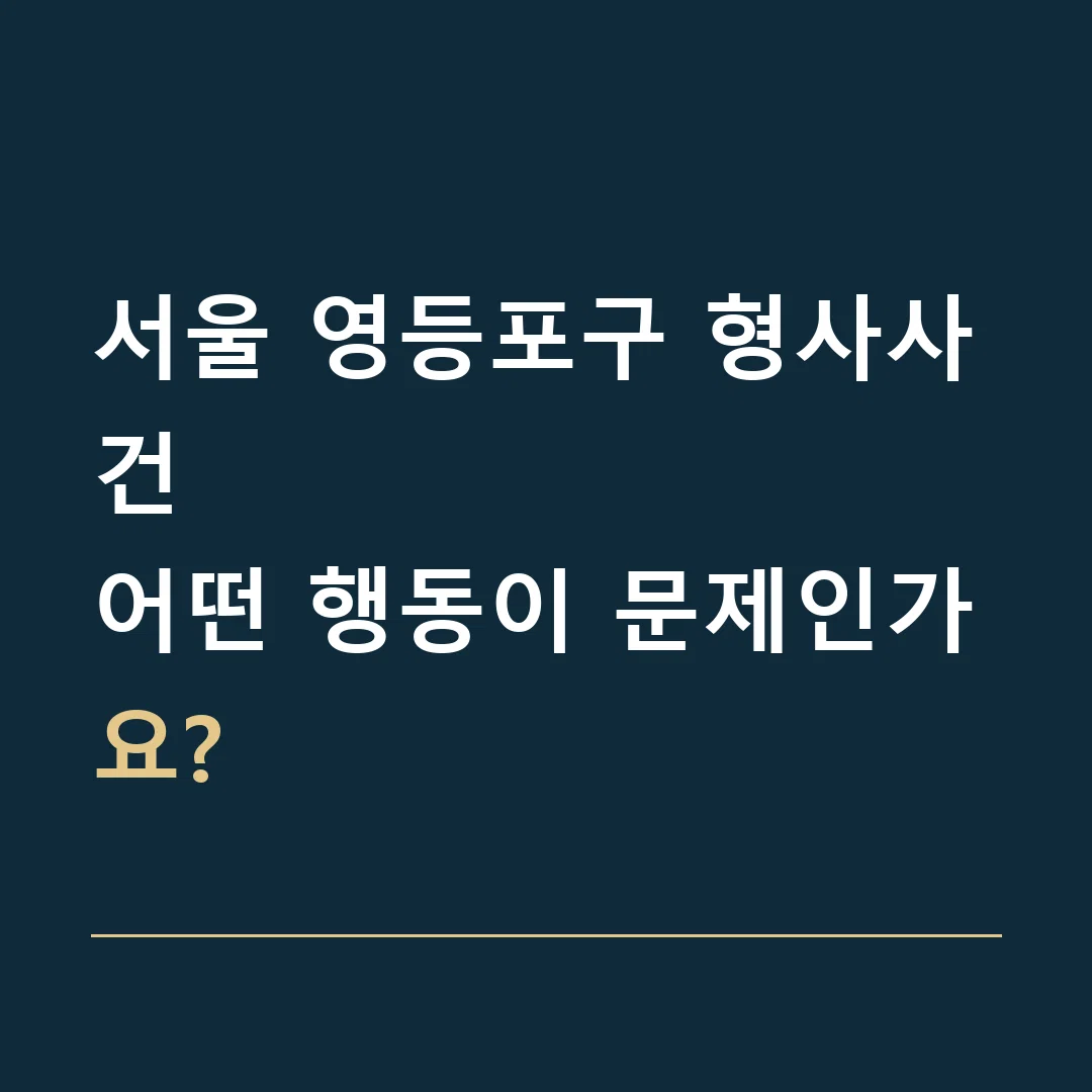 서울 영등포구 형사사건 · 어떤 행동이 문제인가요?