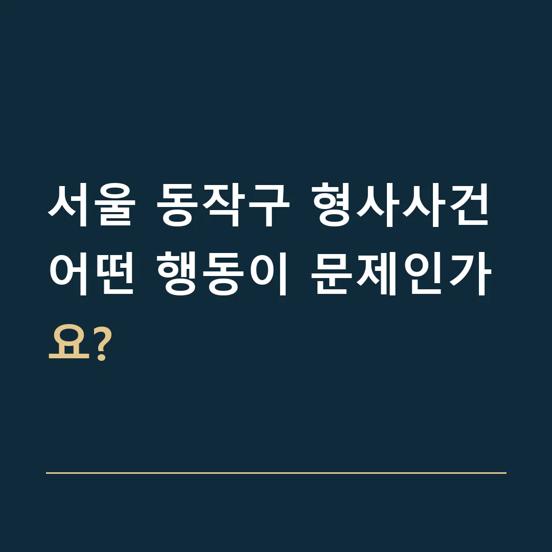 서울 동작구 형사사건 · 어떤 행동이 문제인가요?