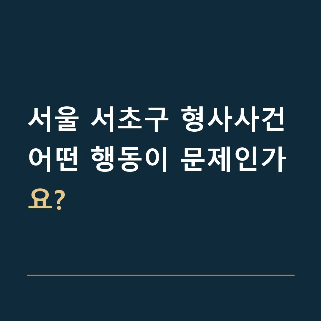 서울 서초구 형사사건 · 어떤 행동이 문제인가요?