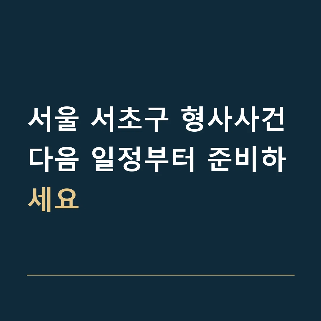 서울 서초구 형사사건 · 다음 일정부터 준비하세요