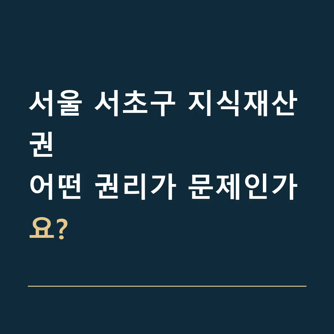 서울 서초구 지식재산권 · 어떤 권리가 문제인가요?