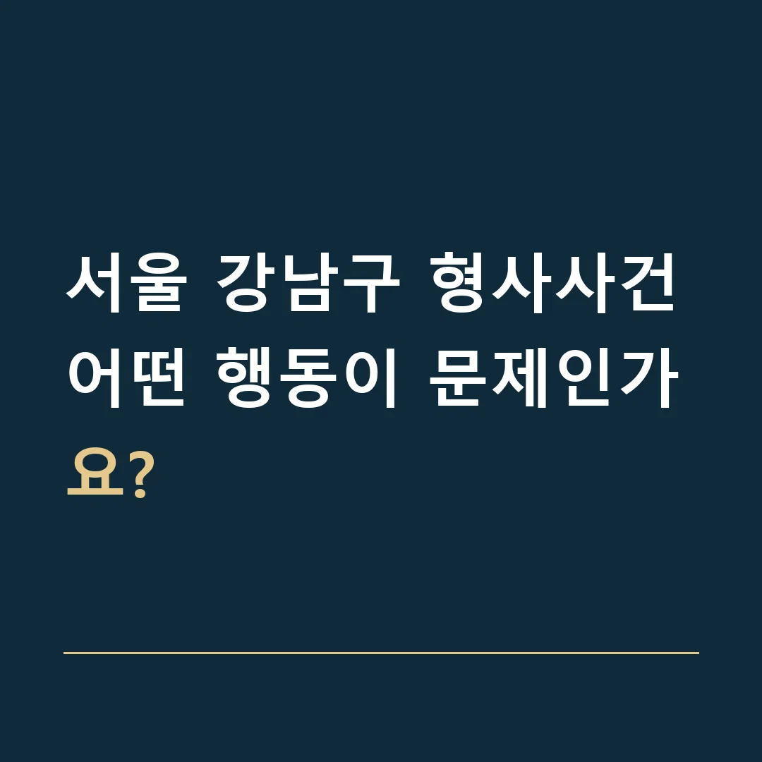 서울 강남구 형사사건 · 어떤 행동이 문제인가요?