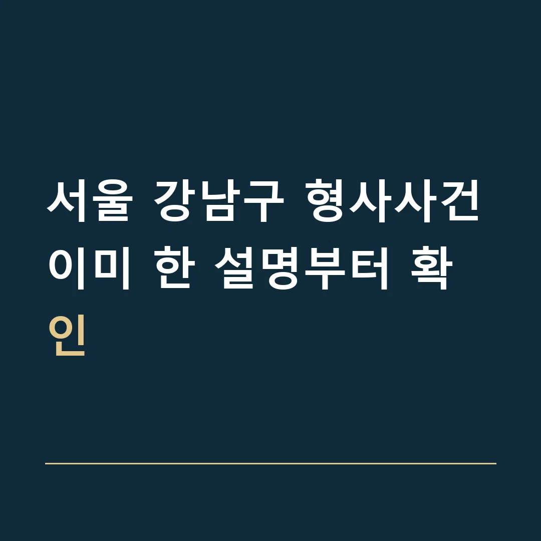 서울 강남구 형사사건 · 이미 한 설명부터 확인