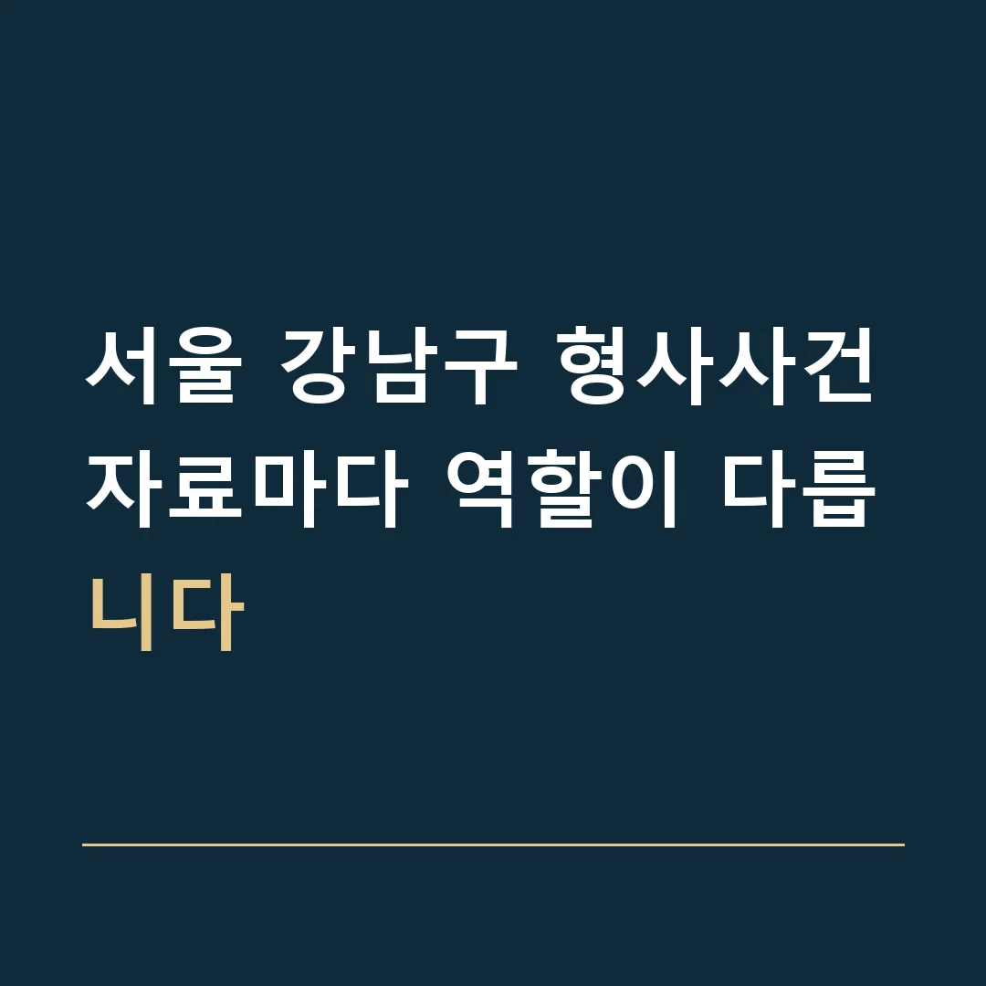 서울 강남구 형사사건 · 자료마다 역할이 다릅니다