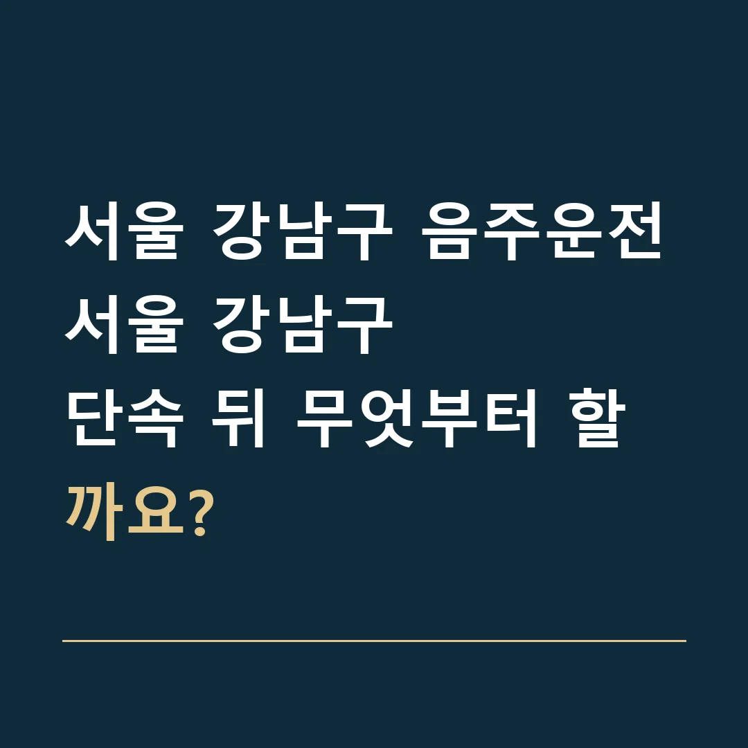 서울 강남구 음주운전 · 서울 강남구
단속 뒤 무엇부터 할까요?