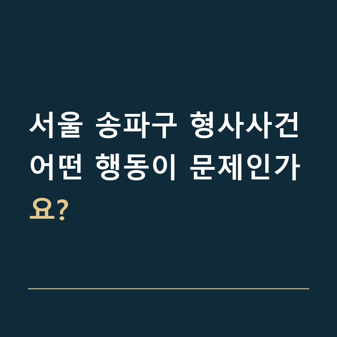 서울 송파구 형사사건 · 어떤 행동이 문제인가요?