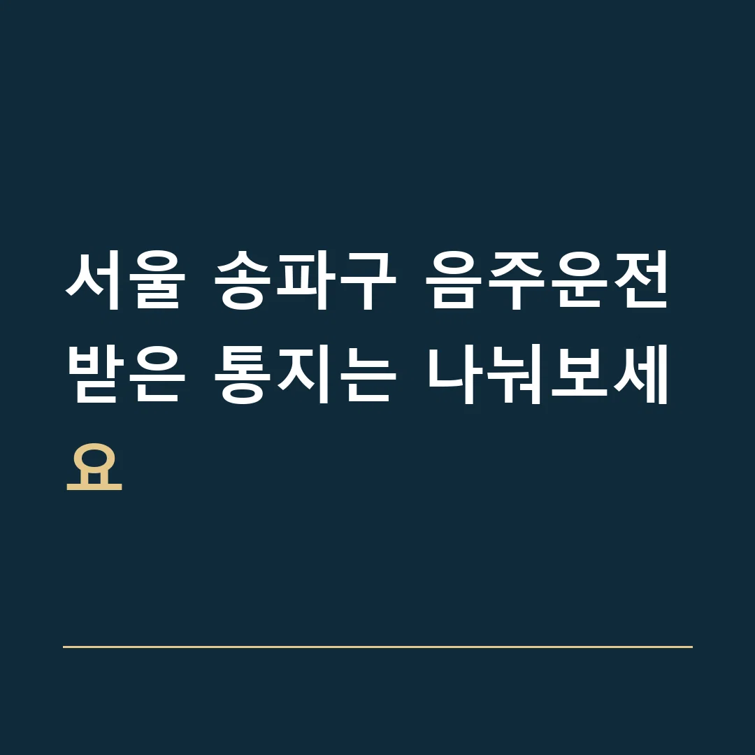 서울 송파구 음주운전 · 받은 통지는 나눠보세요