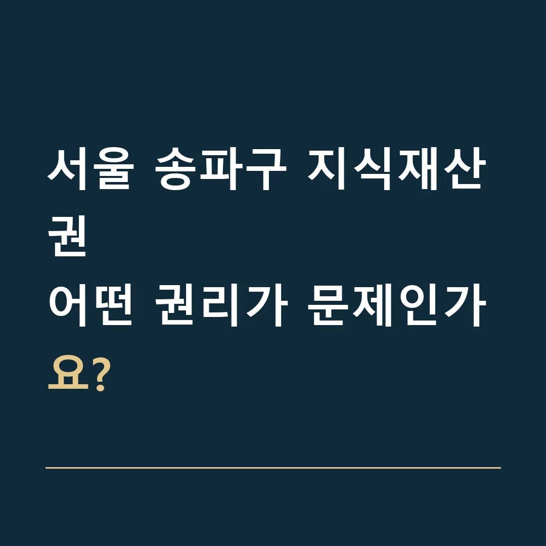 서울 송파구 지식재산권 · 어떤 권리가 문제인가요?