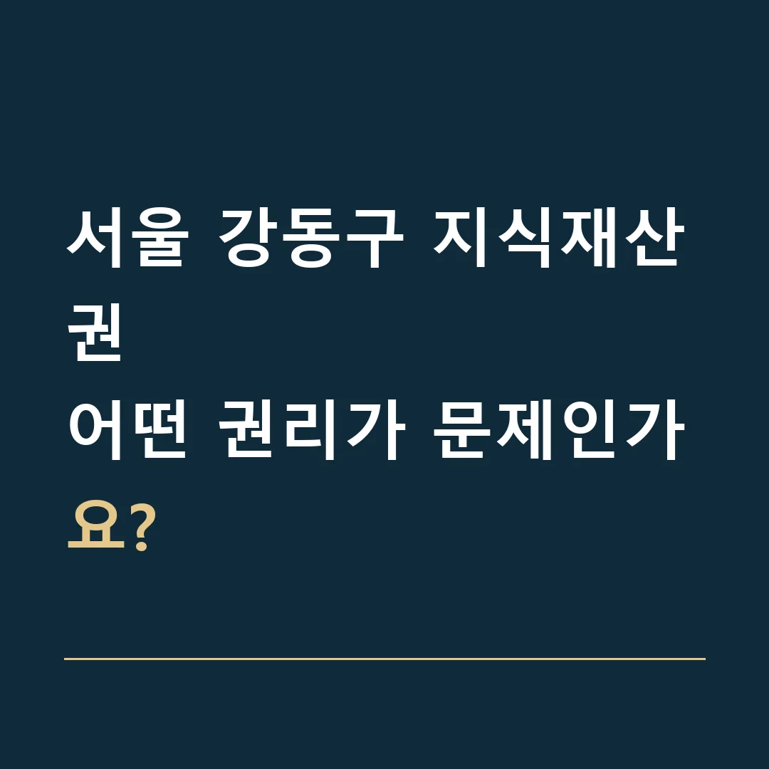 서울 강동구 지식재산권 · 어떤 권리가 문제인가요?