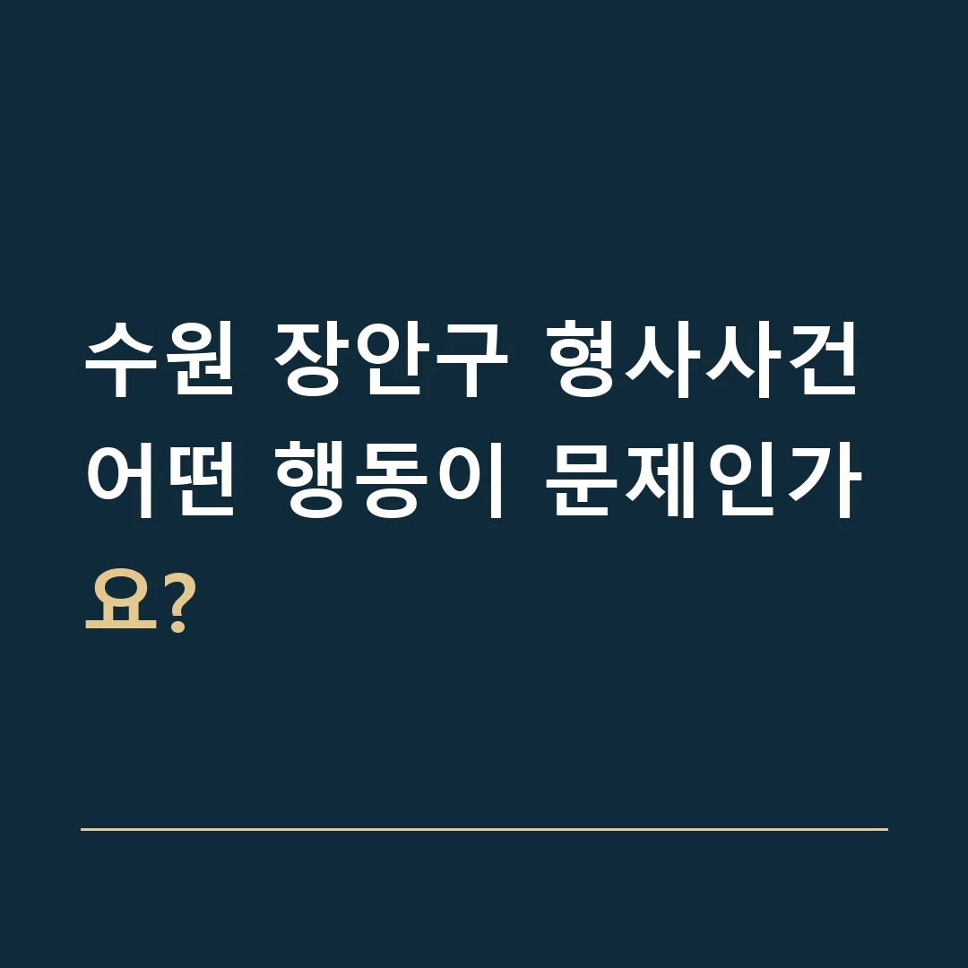 수원 장안구 형사사건 · 어떤 행동이 문제인가요?