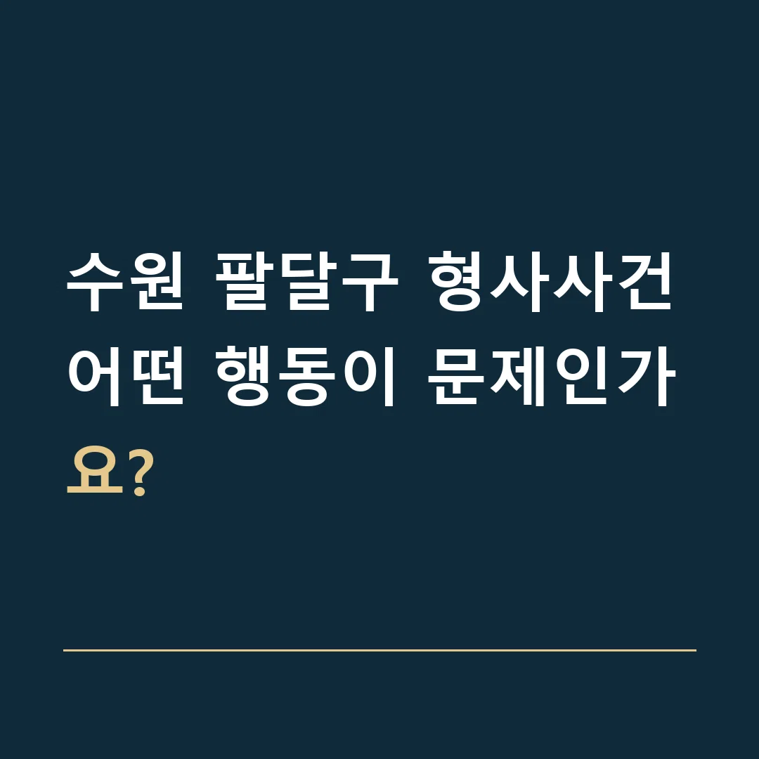 수원 팔달구 형사사건 · 어떤 행동이 문제인가요?