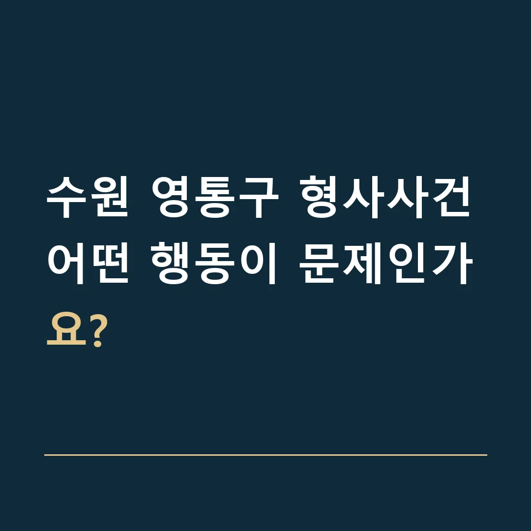 수원 영통구 형사사건 · 어떤 행동이 문제인가요?